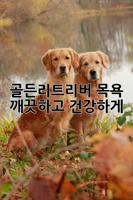 골든리트리버 목욕: 깨끗하고 건강하게!