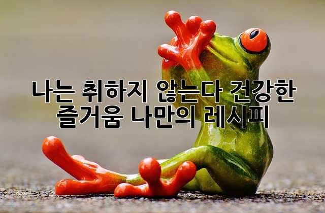 나는 취하지 않는다: 건강한 즐거움, 나만의 레시피