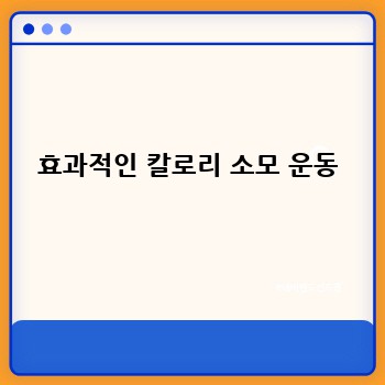 효과적인 칼로리 소모 운동