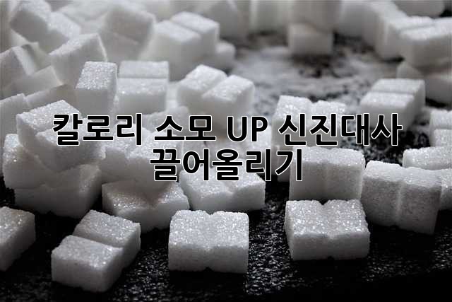 칼로리 소모 UP! 신진대사 끌어올리기