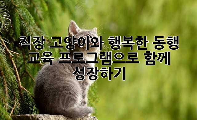 직장 고양이와 행복한 동행: 교육 프로그램으로 함께 성장하기