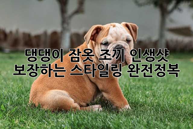 댕댕이 잠옷 조끼: 인생샷 보장하는 스타일링 완전정복!