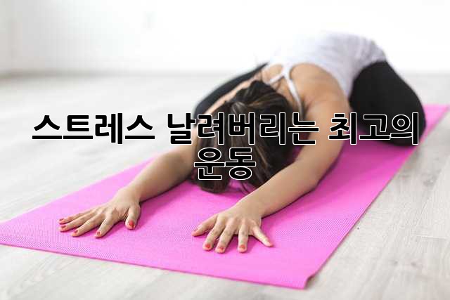스트레스 날려버리는 최고의 운동!