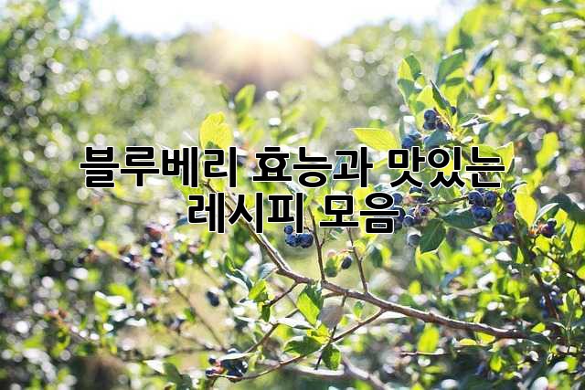 블루베리 효능과 맛있는 레시피 모음
