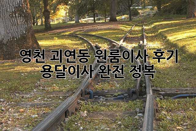 📦 영천 괴연동 원룸이사 후기: 용달이사 완전 정복! 🚚💨