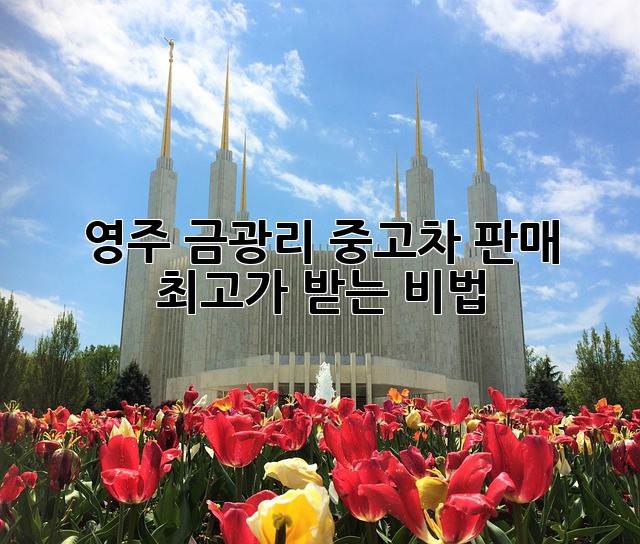 영주 금광리 중고차 판매, ✨최고가 받는 비법✨
