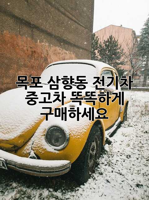 목포 삼향동 전기차 중고차, 똑똑하게 구매하세요!