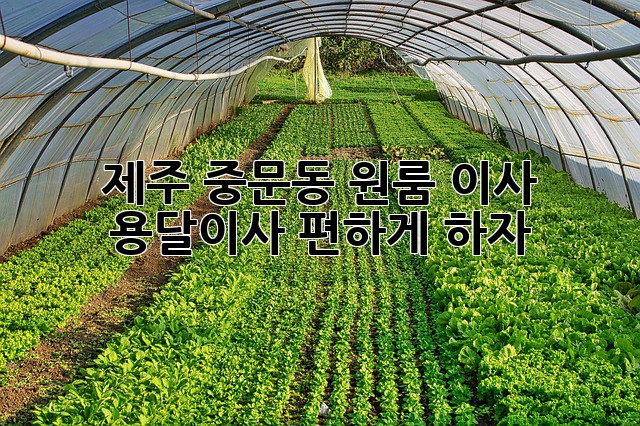 제주 중문동 원룸 이사, 용달이사 편하게 하자!