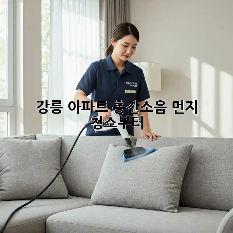 강릉 아파트 층간소음? 먼지 청소부터!
